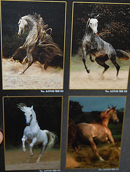 PUZZLE pucle pazl skládačka > varianta HNĚDÁK