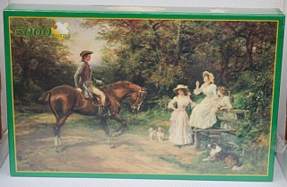PUZZLE pucle pazl skládačka > varianta 5 TISÍC DÍLŮ