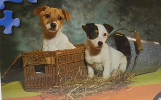 Puzzle, pacl, skládačka