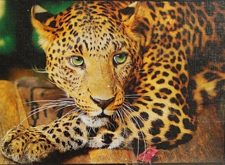 PUZZLE pucle pazl skládačka