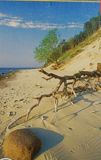 PUZZLE pucle pazl skládačka