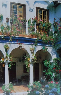 PUZZLE pucle pazl skládačka > varianta HOUSE IN CORDOBA - SPAIN