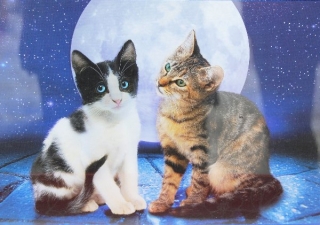 PUZZLE - edice MY LITTLE FRIENDS > varianta CATS IN THE MOONLIGHT