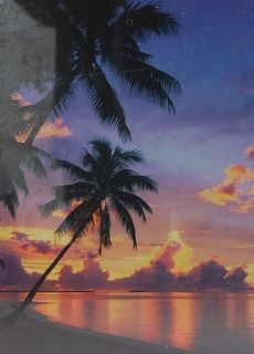 PUZZLE - edice LANDSCAPE > varianta TROPIC